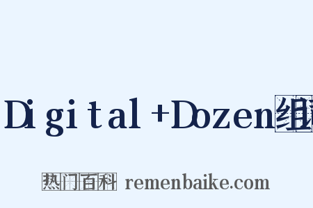 Digital+Dozen组词是什么意思的图片